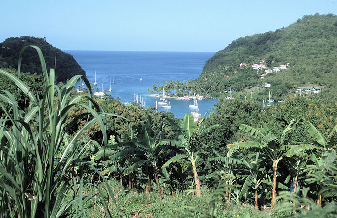 St. Lucia-02-060.jpg